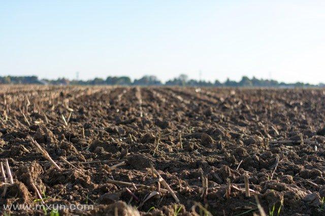 梦见种地耕田预示好运还是挑战?解析吉凶与心理暗示 梦见种地耕田预示好运还是挑战?解析吉凶与心理暗示