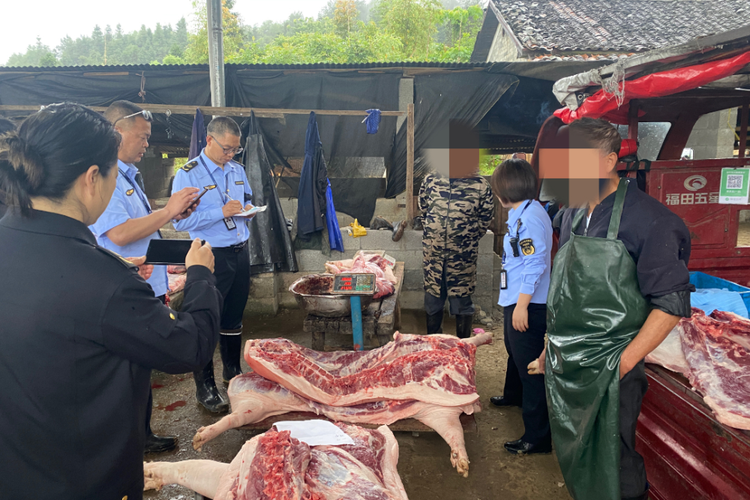 龙口市市场监管局重拳出击：生猪私屠滥宰联合检查行动全面启动