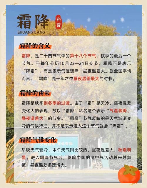 梦见霜降棉被预示哪些？解读梦境中蕴藏的生活启示