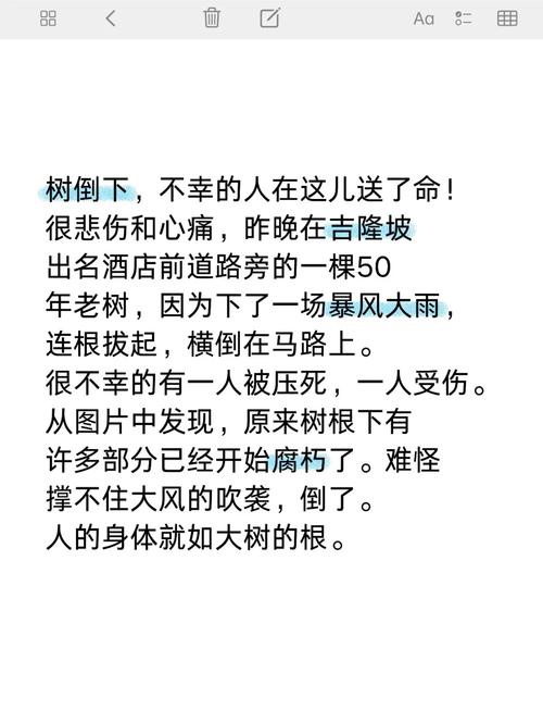 梦见树倒预示哪些？解读象征意义及心理暗示背后的秘密
