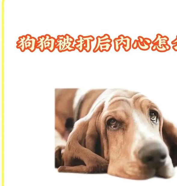 梦见狗被打的深层寓意，揭开背后心理暗示！