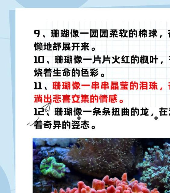 梦见珊瑚预示哪些？深度解析与现实联动的心理对照