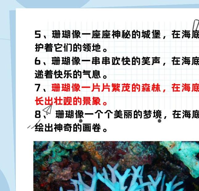 梦见珊瑚预示哪些？深度解析与现实联动的心理对照