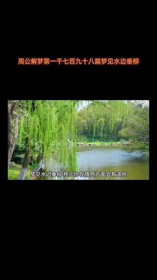 梦见水边垂柳 vs 其他梦境隐藏寓意及解读