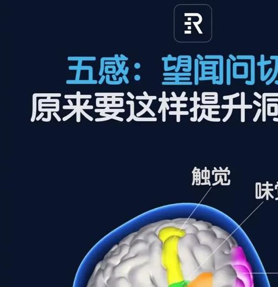 揭开梦见下水道的深层心理解析,提升个人成长洞察力 揭开梦见下水道的深层心理解析,提升个人成长洞察力