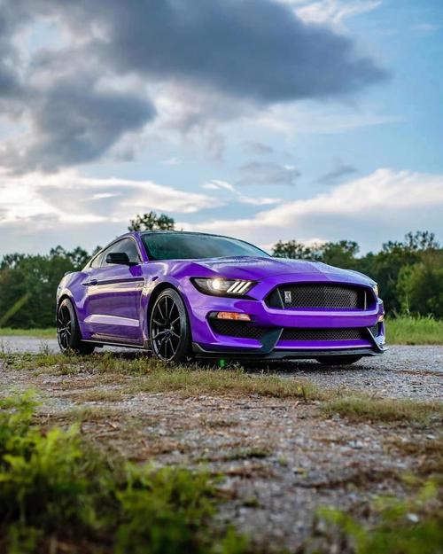 梦见野马预示哪些？解读野马梦境的深层含义与象征价值