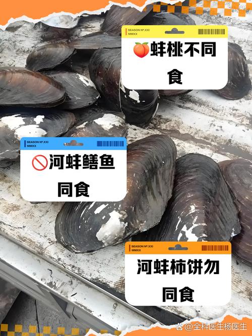 梦见河蚌的深层寓意探索内心和平与财富的高效解决方案 梦见河蚌的深层寓意探索内心和平与财富的高效解决方案