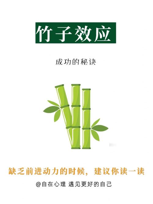 梦见竹子预示哪些意义？解析心理学暗示与生活启示