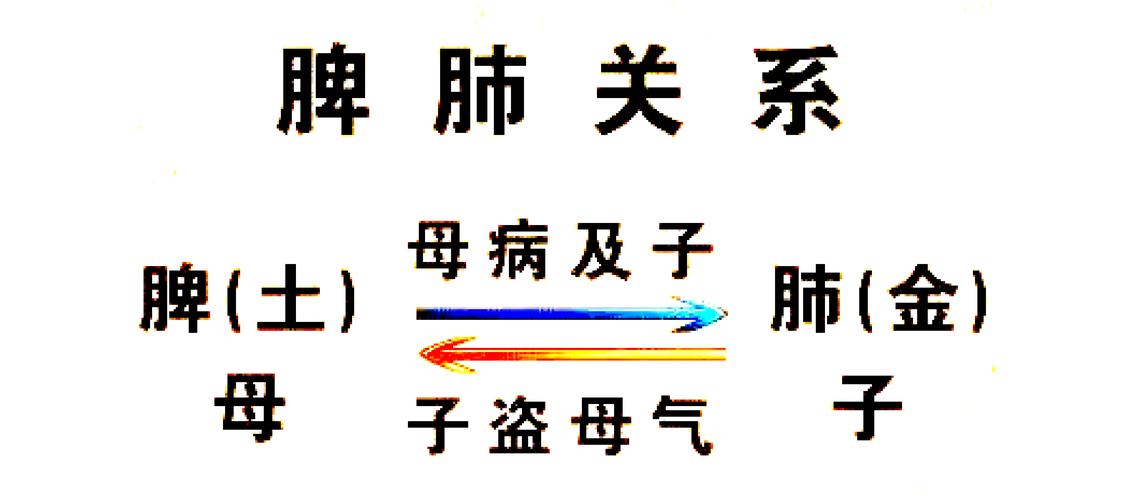 梦见肺肝意味着哪些?解析梦境含义与心理健康高效解决方案 梦见肺肝意味着哪些?解析梦境含义与心理健康高效解决方案