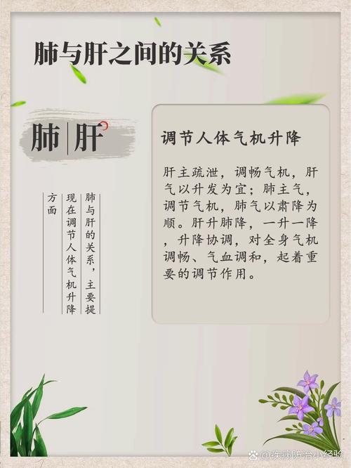 梦见肺肝意味着哪些?解析梦境含义与心理健康高效解决方案 梦见肺肝意味着哪些?解析梦境含义与心理健康高效解决方案