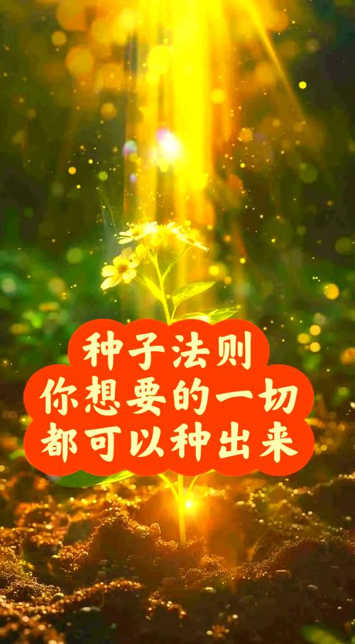 探索梦见种子的深层寓意它如何暗示未来的丰收与潜在机遇？