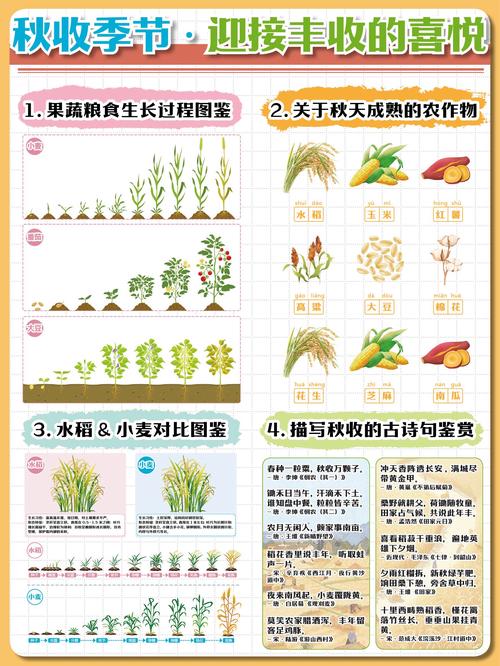探索梦见种子的深层寓意它如何暗示未来的丰收与潜在机遇？