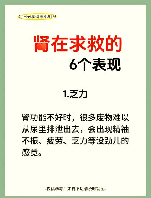 梦见肾脏解析深度剖析身体健康预警信号