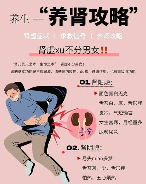 梦见肾脏解析深度剖析身体健康预警信号