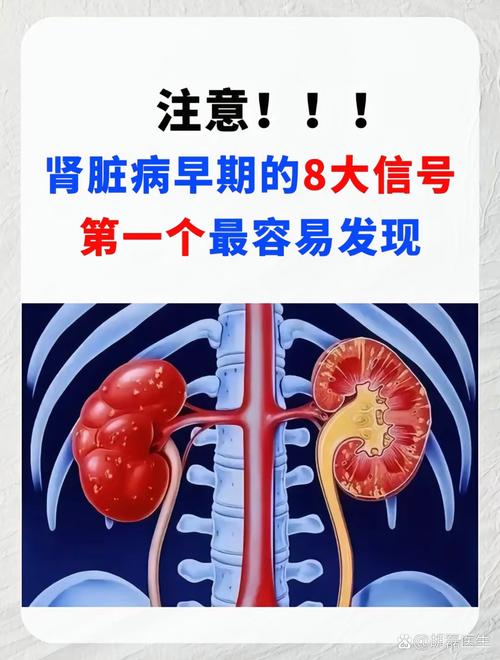 梦见肾脏解析深度剖析身体健康预警信号