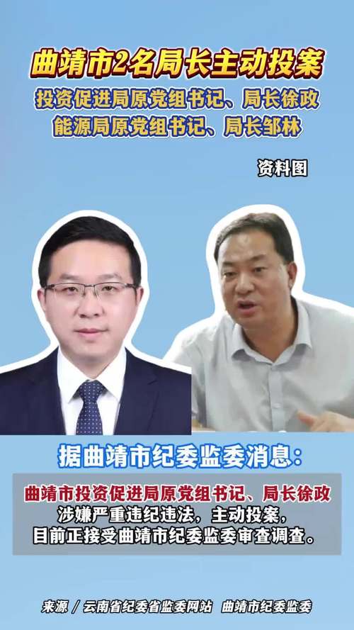 蒋明明为何主动投案？探究新林区委书记背后的故事