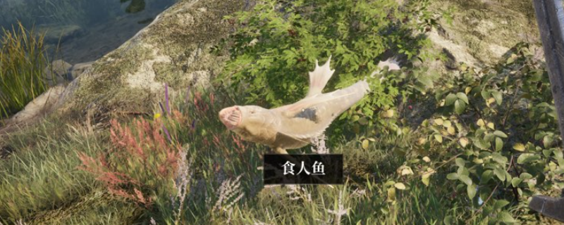 探秘〈上古卷轴4：湮灭重制版〉任务陷阱：高手也会中招？