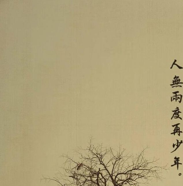 梦见枯木象征着哪些？解读梦境背后的深意与启示