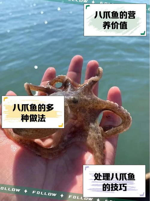梦见八爪鱼象征哪些？解密隐藏背后的秘密与启示