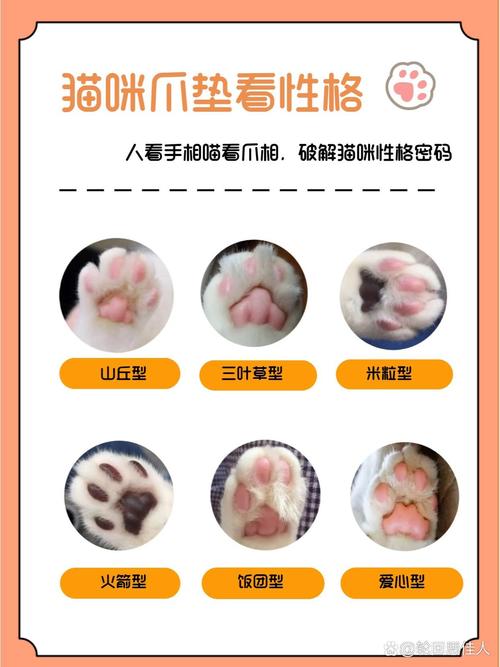 揭秘梦见动物爪子心理深度解析与象征意义分析 揭秘梦见动物爪子心理深度解析与象征意义分析