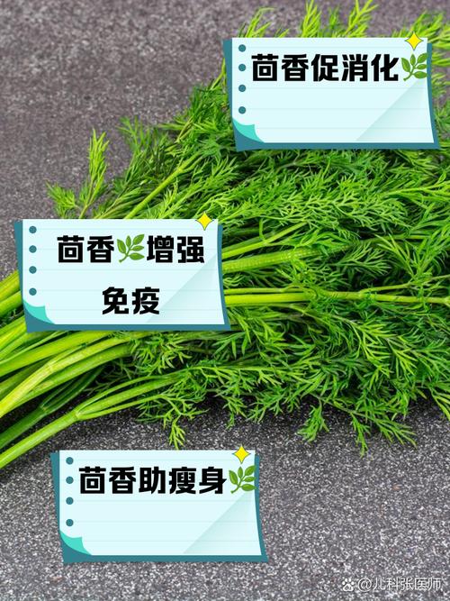 梦见茴香预示着哪些？深入解析其象征意义与高效解决方案