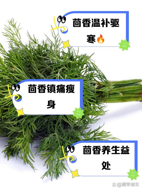 梦见茴香预示着哪些？深入解析其象征意义与高效解决方案