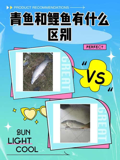 梦见青鱼的含义解析心理暗示 vs 现实启示，哪个更可信？