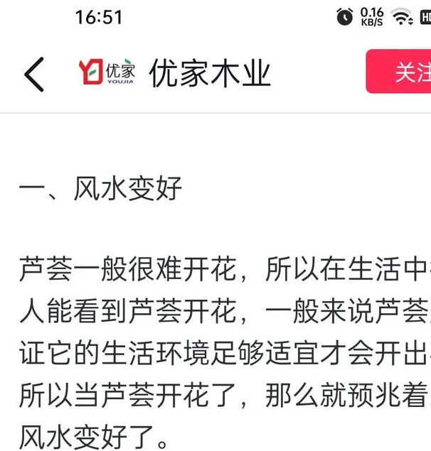 梦见芦荟的象征意义与其带来的生活启示