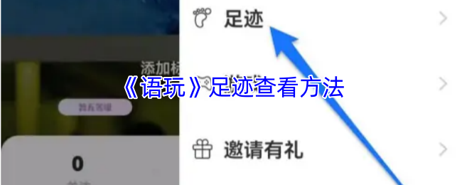 优化：揭秘语玩足迹隐藏技巧：如何轻松查看神秘踪迹？