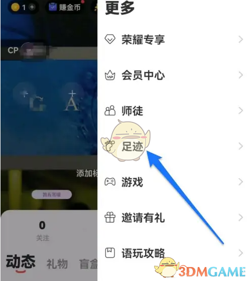 优化：揭秘语玩足迹隐藏技巧：如何轻松查看神秘踪迹？