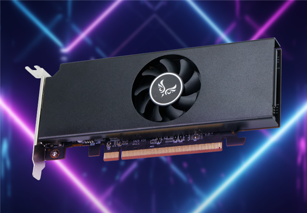 AMD RX 6500显卡震撼登场：满血核心，55W低功耗高效能解析