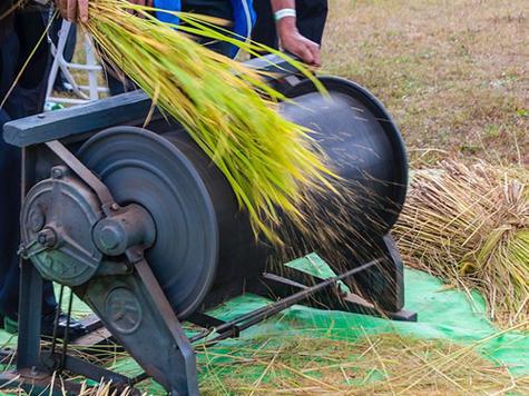 梦见打谷的5个深层含义与解梦技巧，揭示潜在寓意