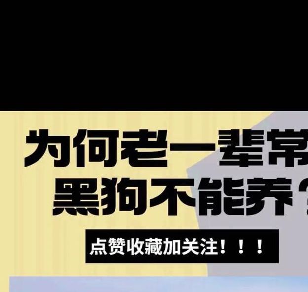 梦见黑狗的深层含义解析，用户揭示潜意识中的忠诚与保护力！