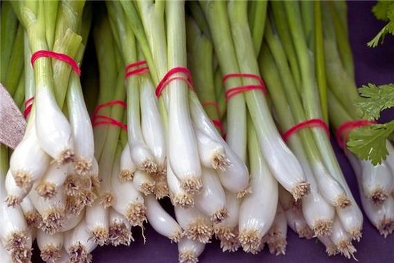 梦见葱头的象征意义解梦指南与心理解析对比分析