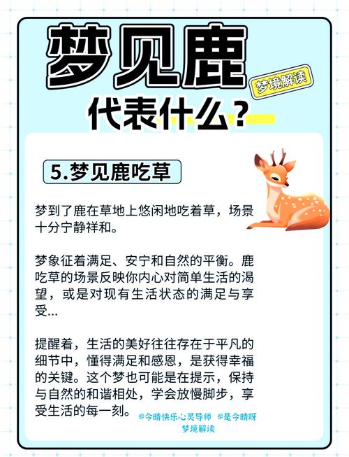 梦见雄鹿象征哪些？探索内心隐秘的高效解决方案