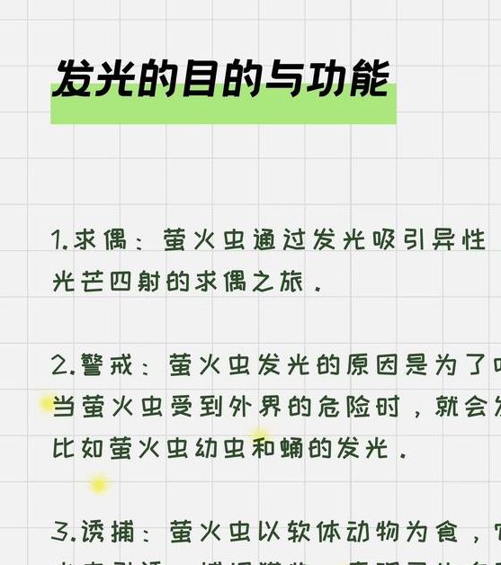 梦见萤火虫的启示解读梦境中的象征意义及高效解决方案