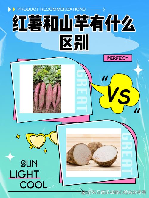 梦见山芋解析心理象征 vs 实际征兆，解读背后深意