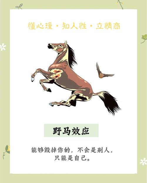 梦见野马的5大心理象征解析解码内心力量与自由之梦 梦见野马的5大心理象征解析解码内心力量与自由之梦