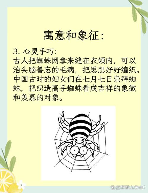 解读梦见黑蜘蛛5个隐藏含义及其带来的好运象征