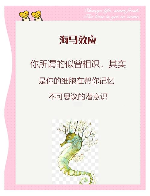 梦见海马的5个心理暗示及其象征意义详解