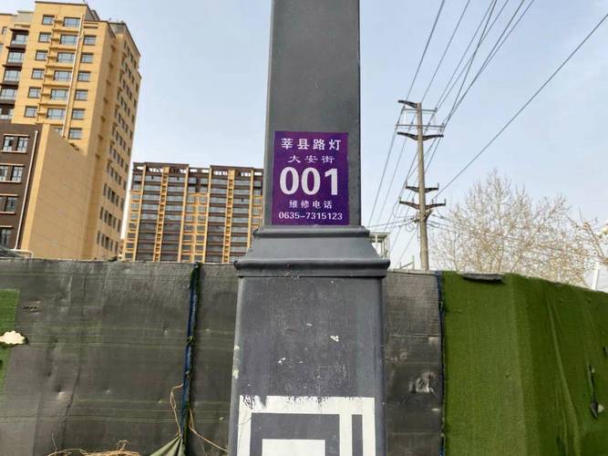 提升城市照明服务：莘县行政执法局优化路灯标牌管理，助力市民安全出行