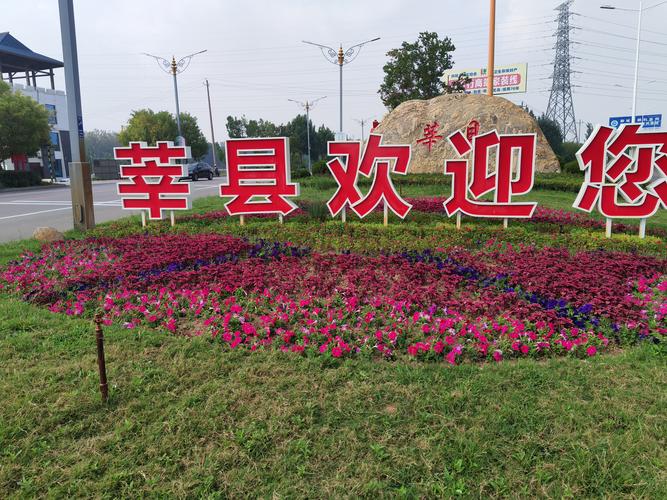 提升城市照明服务：莘县行政执法局优化路灯标牌管理，助力市民安全出行
