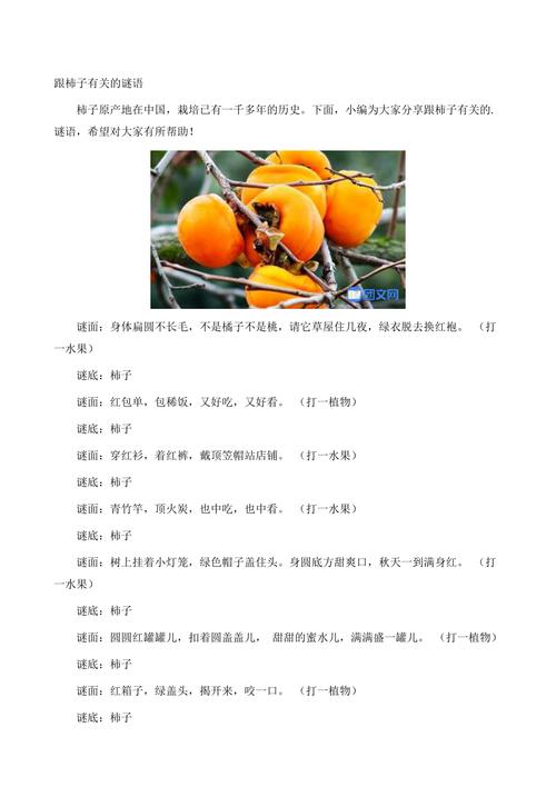 梦见摘柿子暗藏玄机？解读背后深意，揭示你不知道的秘密