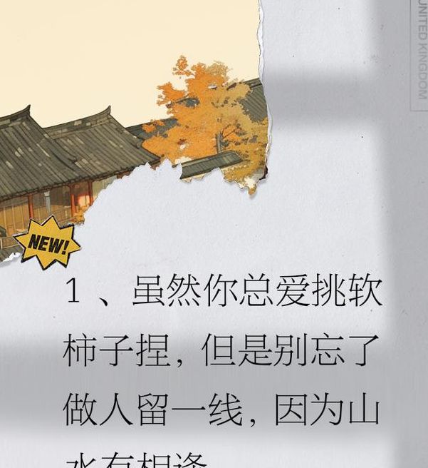 梦见摘柿子暗藏玄机？解读背后深意，揭示你不知道的秘密