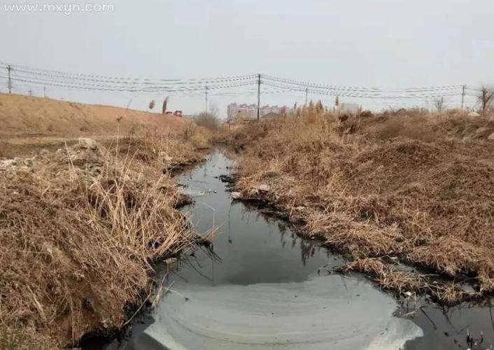 解梦揭秘梦见沟渠的5个象征意义与心理分析 解梦揭秘梦见沟渠的5个象征意义与心理分析