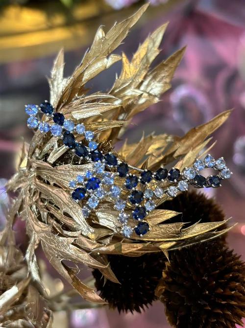 梦见宝石胸针的意义与成功事业的秘密链接