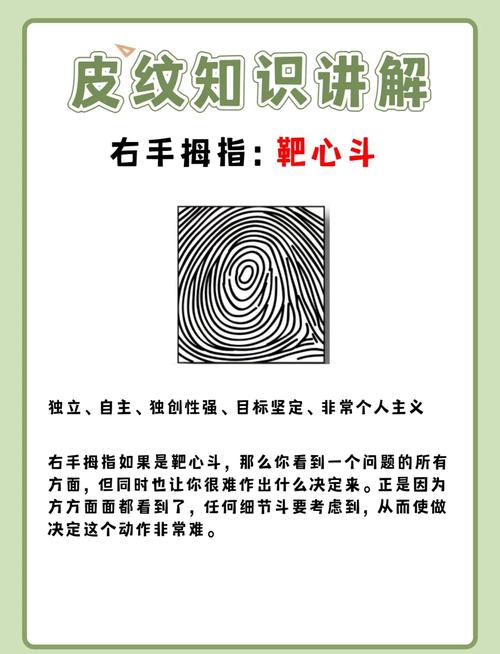 梦见靶子预示着哪些？解析背后隐藏的心理暗示与机遇