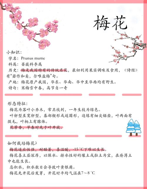 解析梦见梅花绽放的5大象征,揭示内心深层意义 解析梦见梅花绽放的5大象征,揭示内心深层意义