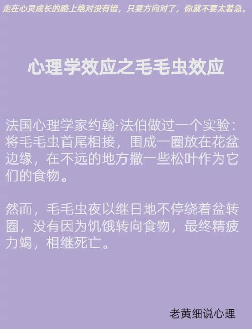 梦见毛毛虫意味着哪些?解析梦境背后的深层心理含义 梦见毛毛虫意味着哪些?解析梦境背后的深层心理含义
