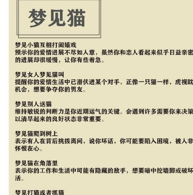 梦见猫死了意味着哪些？解读背后心理暗示与情绪反应
